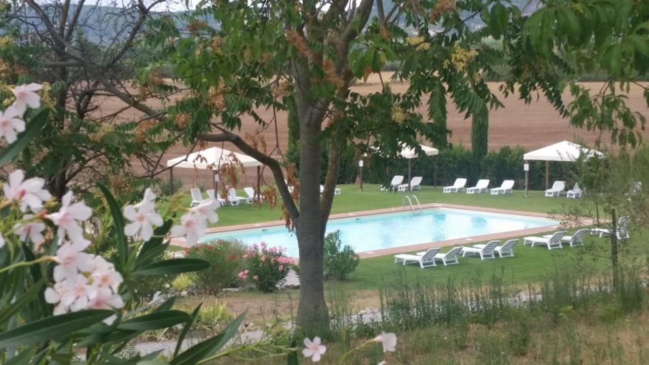 Casa Country House Girasole Vakantie Huis-Wakacje Huis Asciano Dış mekan fotoğraf