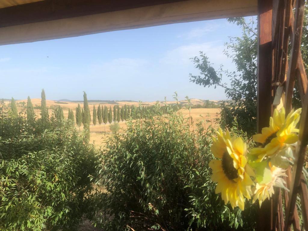 Casa Country House Girasole Vakantie Huis-Wakacje Huis Asciano Dış mekan fotoğraf