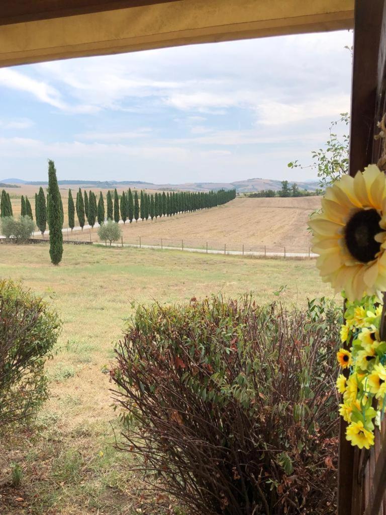 Casa Country House Girasole Vakantie Huis-Wakacje Huis Asciano Dış mekan fotoğraf