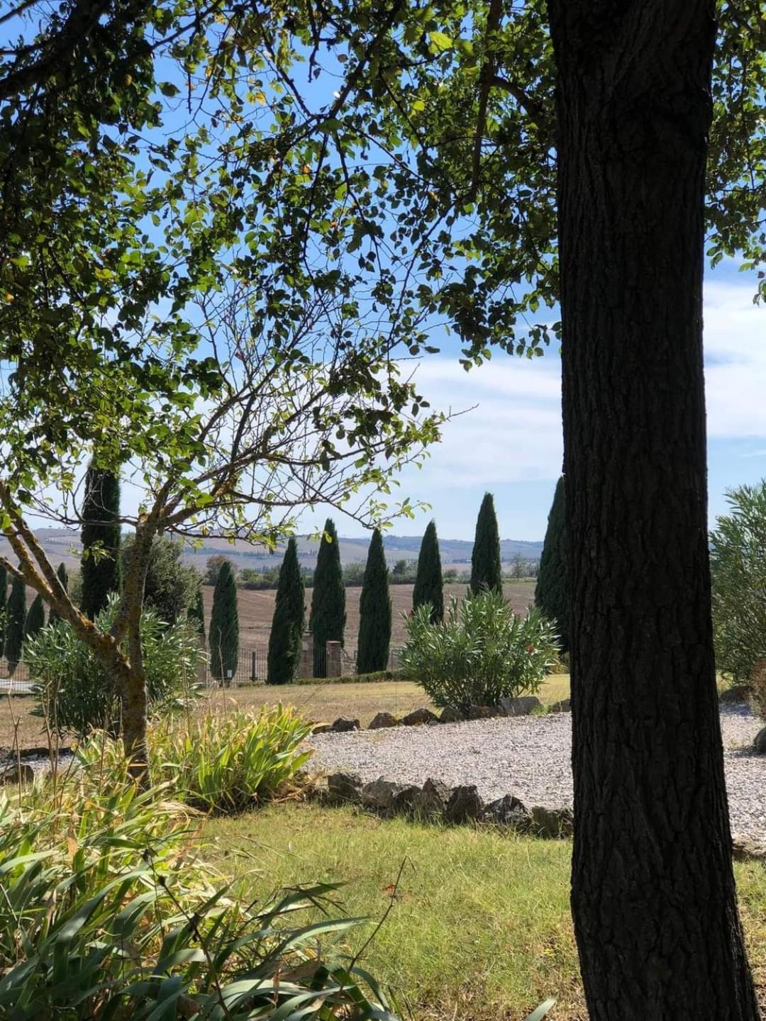 Casa Country House Girasole Vakantie Huis-Wakacje Huis Asciano Dış mekan fotoğraf