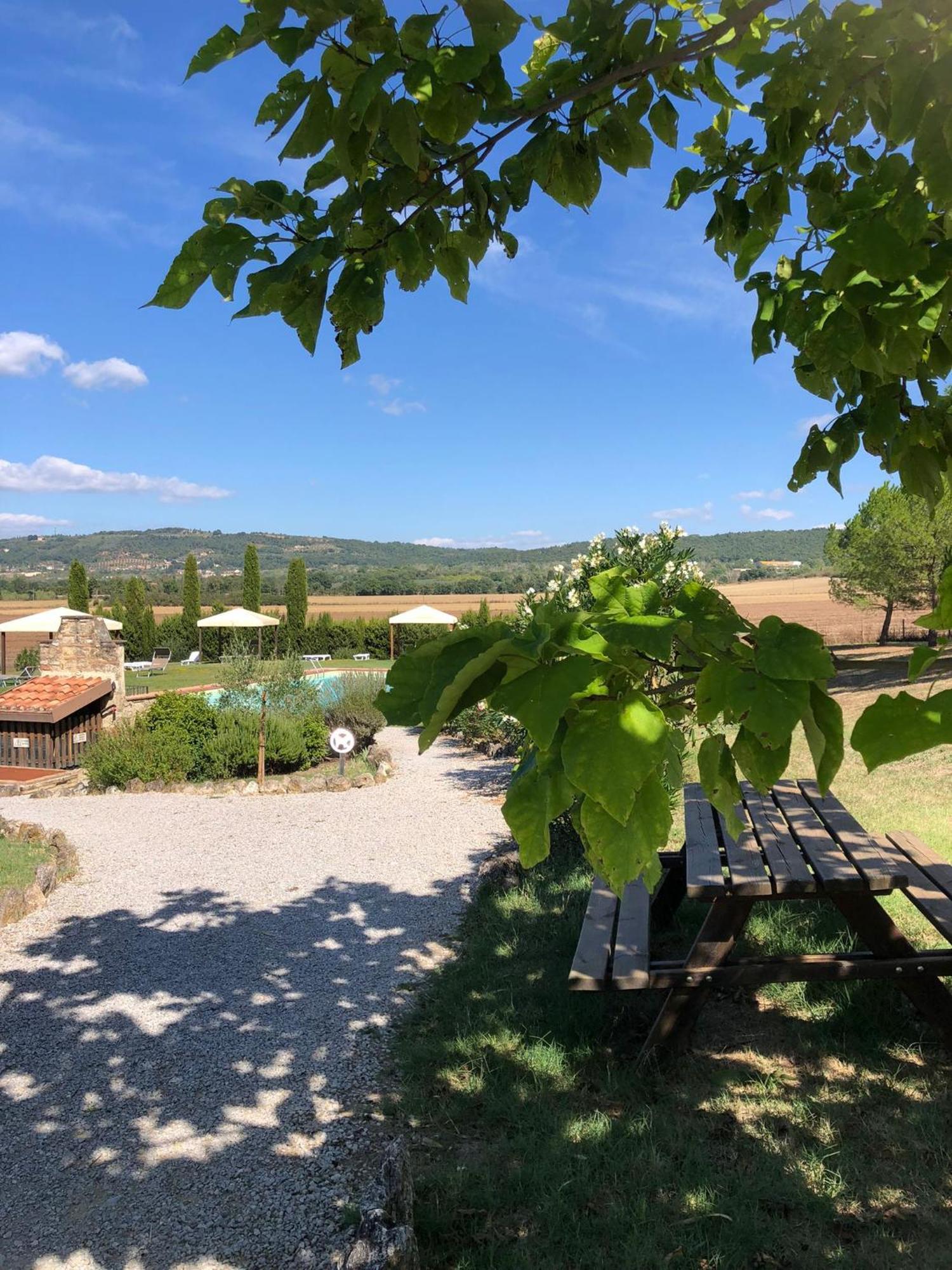 Casa Country House Girasole Vakantie Huis-Wakacje Huis Asciano Dış mekan fotoğraf